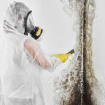 mold removal company in New Jersey, Pennsylvania, and Delaware